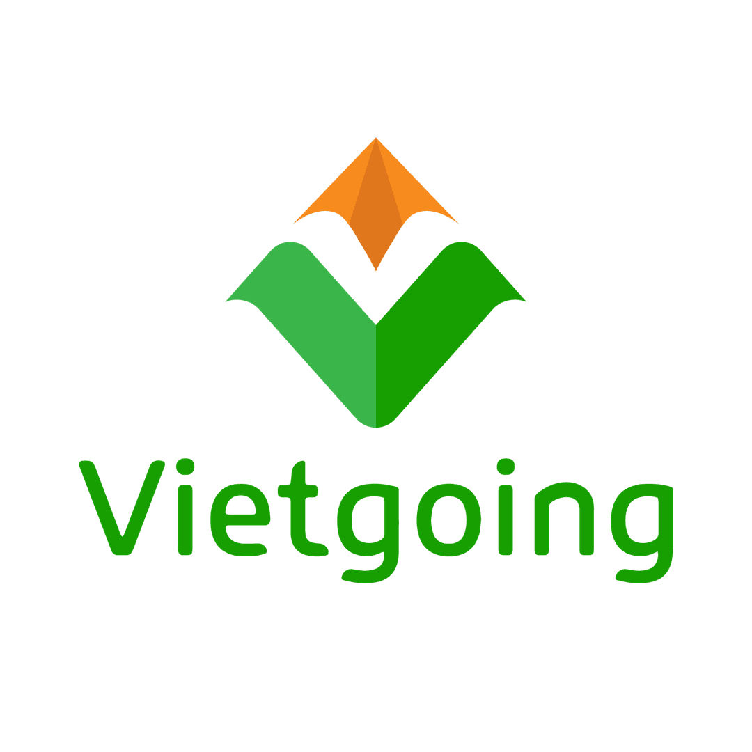Vietgoing
